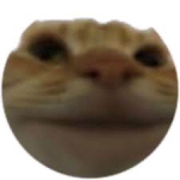 iluvcats87